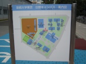 i016s.jpg